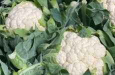 LOCAL Brassica's *Now Available* 15/11/24