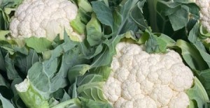 LOCAL Brassica's *Now Available* 15/11/24